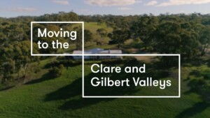 MOVING TO THE CVCG